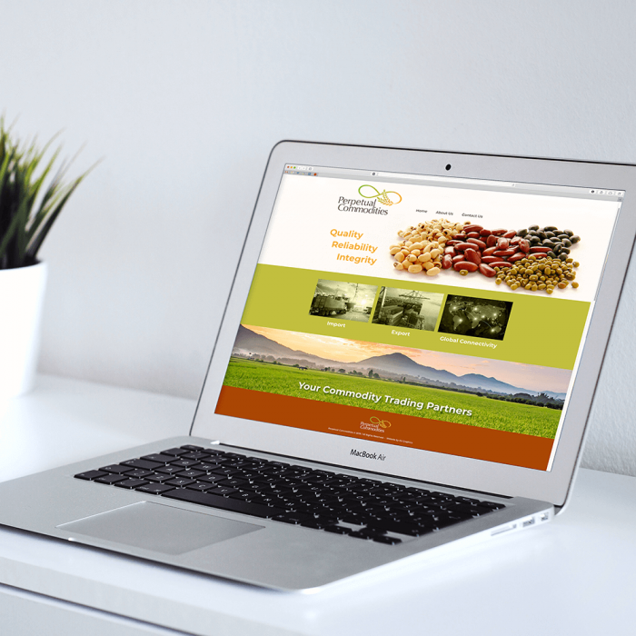 portfolio - websites - design & development