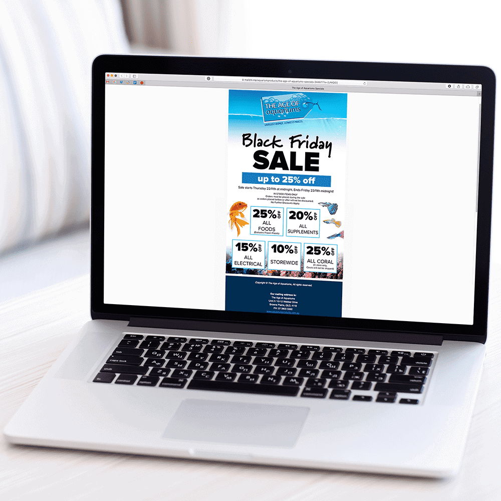 portfolio - EDM - Email Marketing - design & implementation