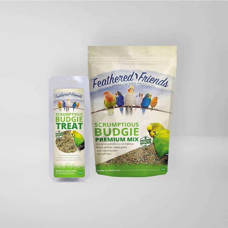 freelance graphic & web design brisbane daisy hill & Gold Coast | pouch and blister packaging